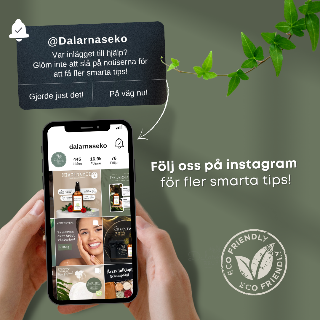 EcoCoconut Dish Brush