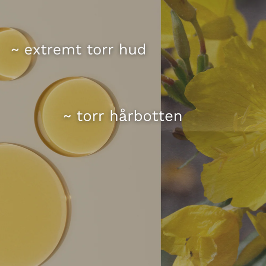 Nattljusolja EKO, Kallpressad