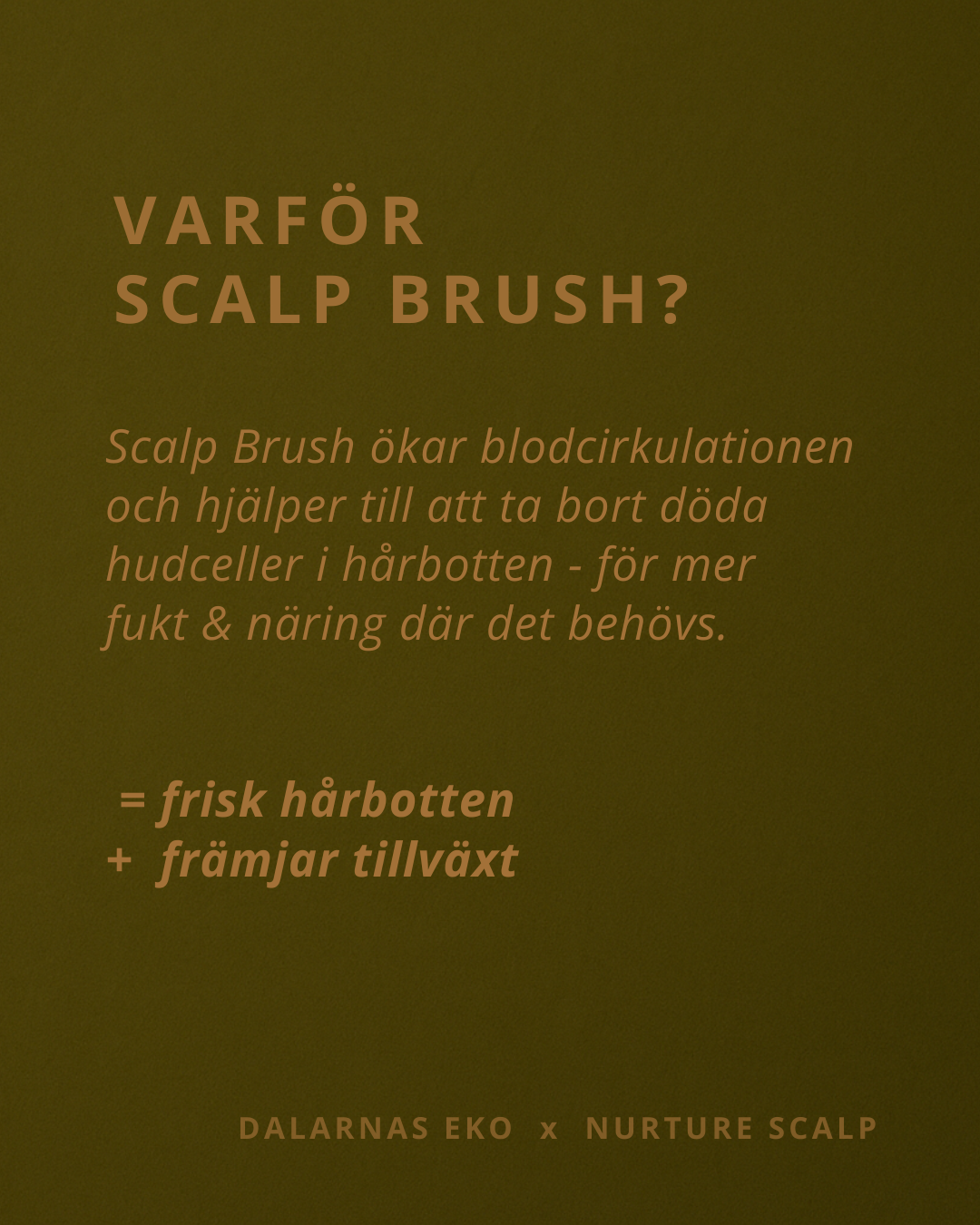 Scalp Brush