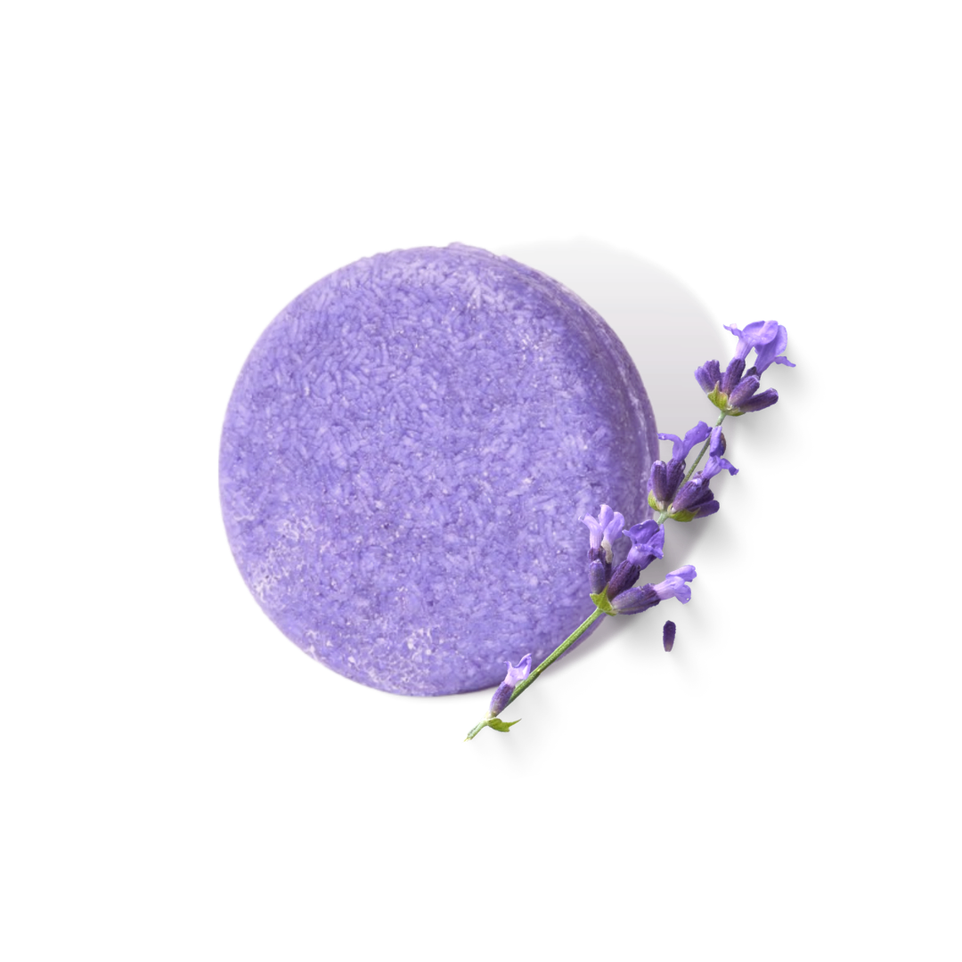 Lavendel Shampoo