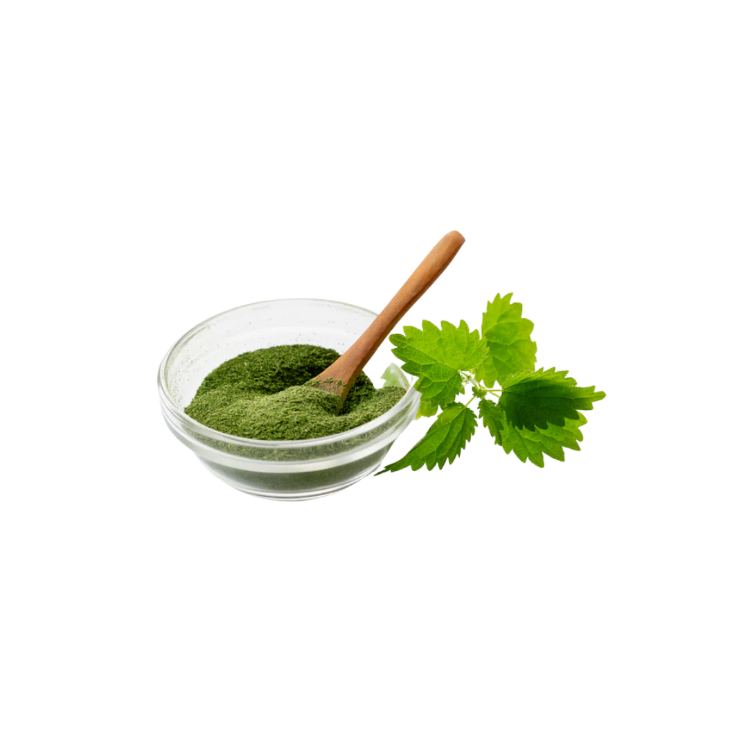 Nettle powder ECO
