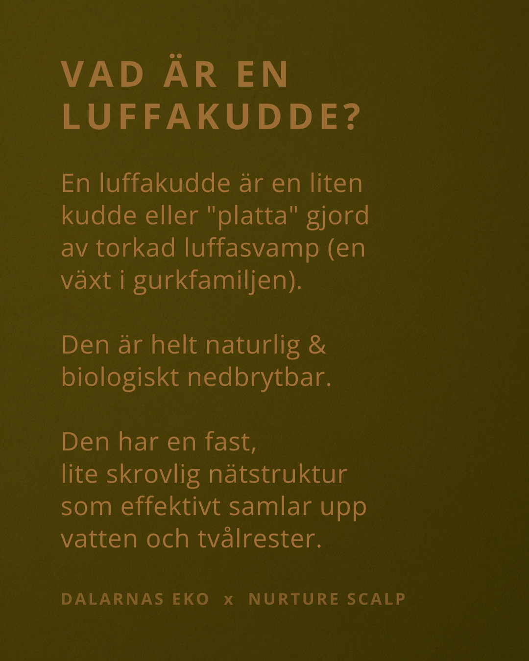 Luffakudde 0,5-1 cm - Naturens egna tvålfat till förvaringsdosa 150